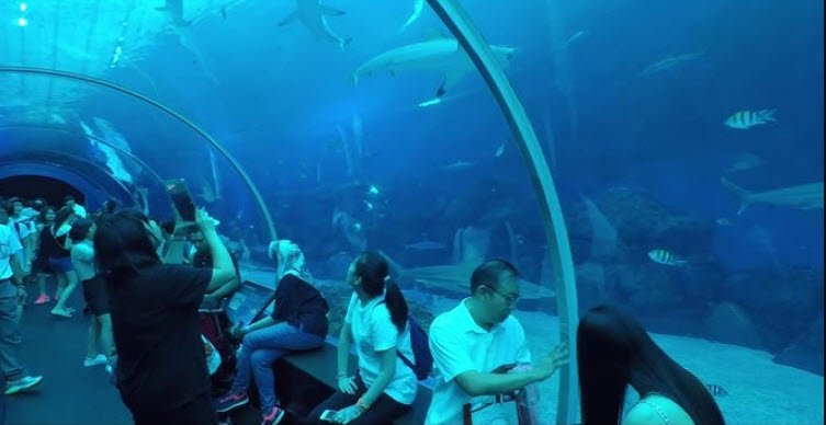 S.E.A. Aquarium, Sentosa Island, Singapore